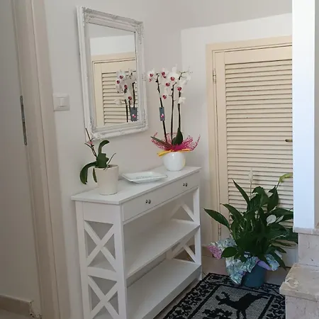 Casa Iole 招待所 多尔加利